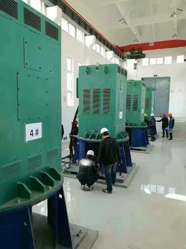 海安某污水处理厂使用我厂的立式高压电机安装现场